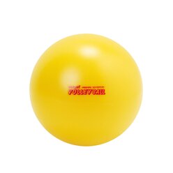 Gymnic Volleyball 220 gr., 21 cm, gelb