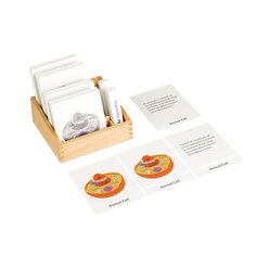 Animal Cell Nomenclature Cards EN