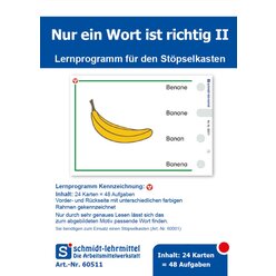 Stpselkarten 'Nur ein Wort ist richtig II' Klasse 1