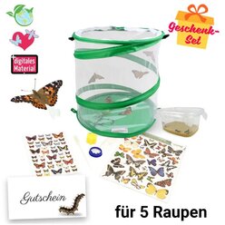 Gutschein-Set Schmetterlinge, kompakt, 8 Teile