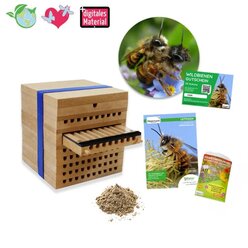 Gutschein-Set Wildbienen, Gehrnte Mauerbiene, 5 Teile