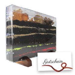 Gutschein-Set Regenwrmer, 5 Teile