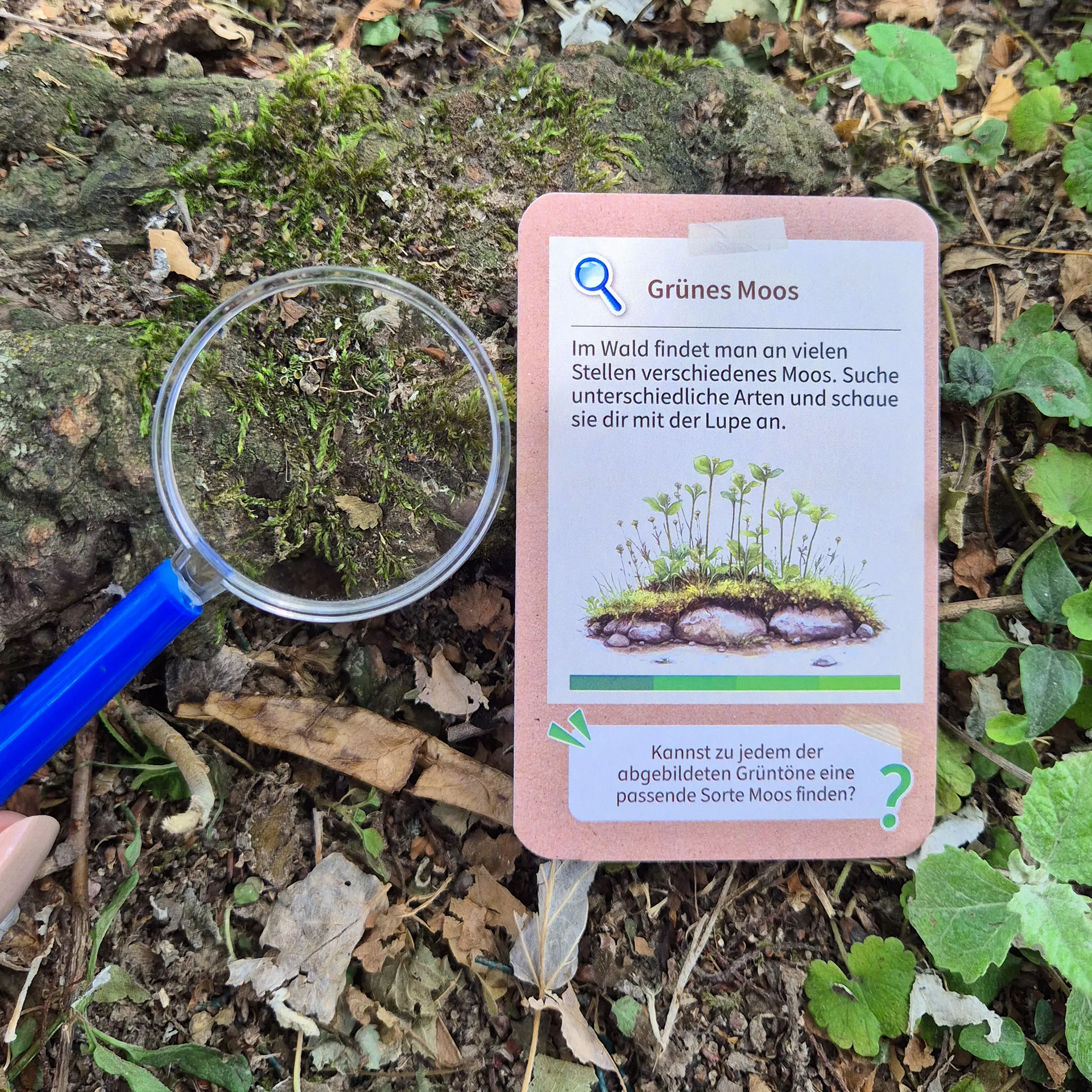 Forscher-Rucksack Natur, Klassensatz, 38-tlg.