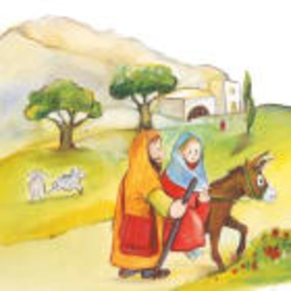 Jesus wird geboren. Die Geschichte von Weihnachten, Paket mit 50 Exemplaren zum Vorteilspreis, 3-8 Jahre