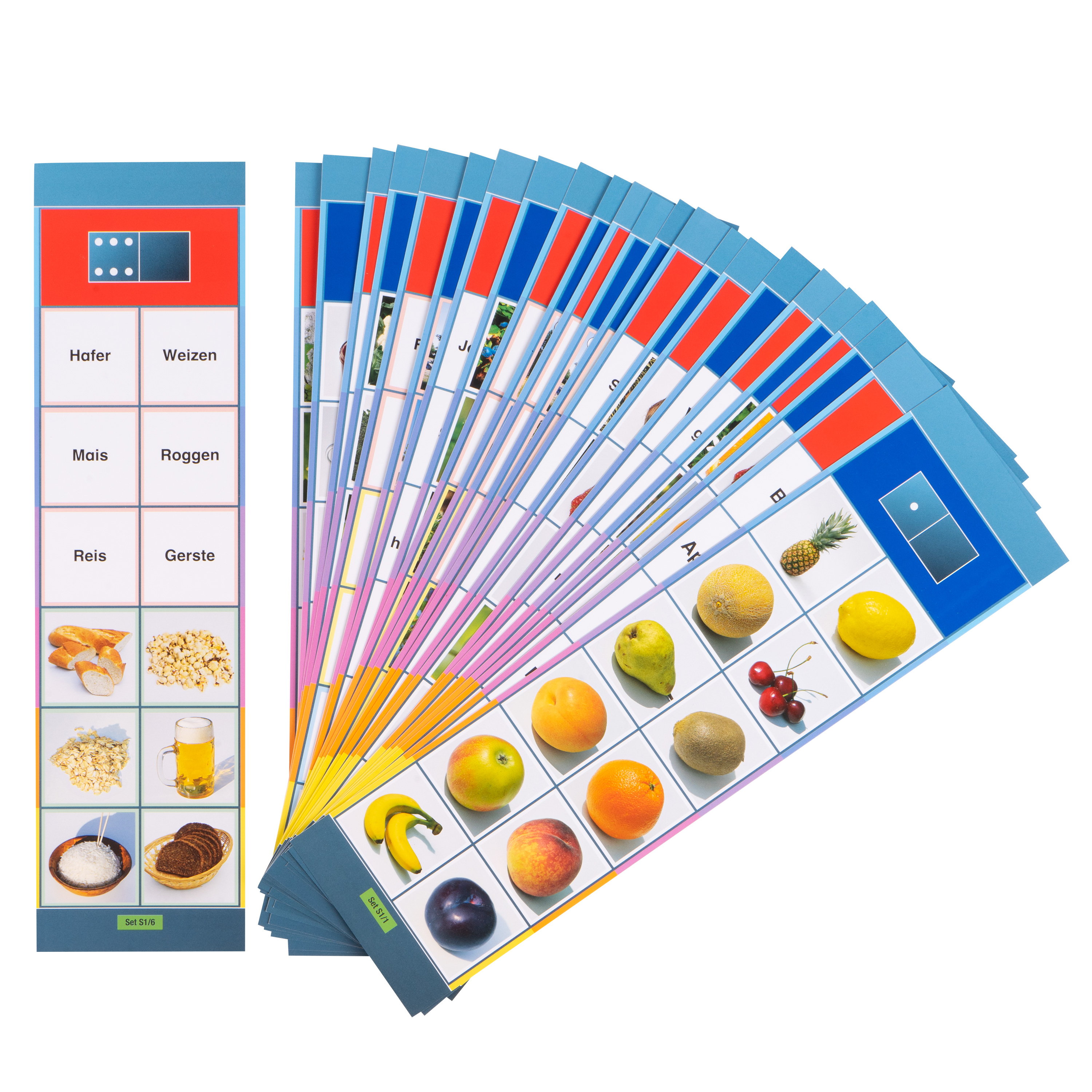 Lernkarten, Flocards Grundschule, Sachkunde S1, Pflanzen, 24-teilig