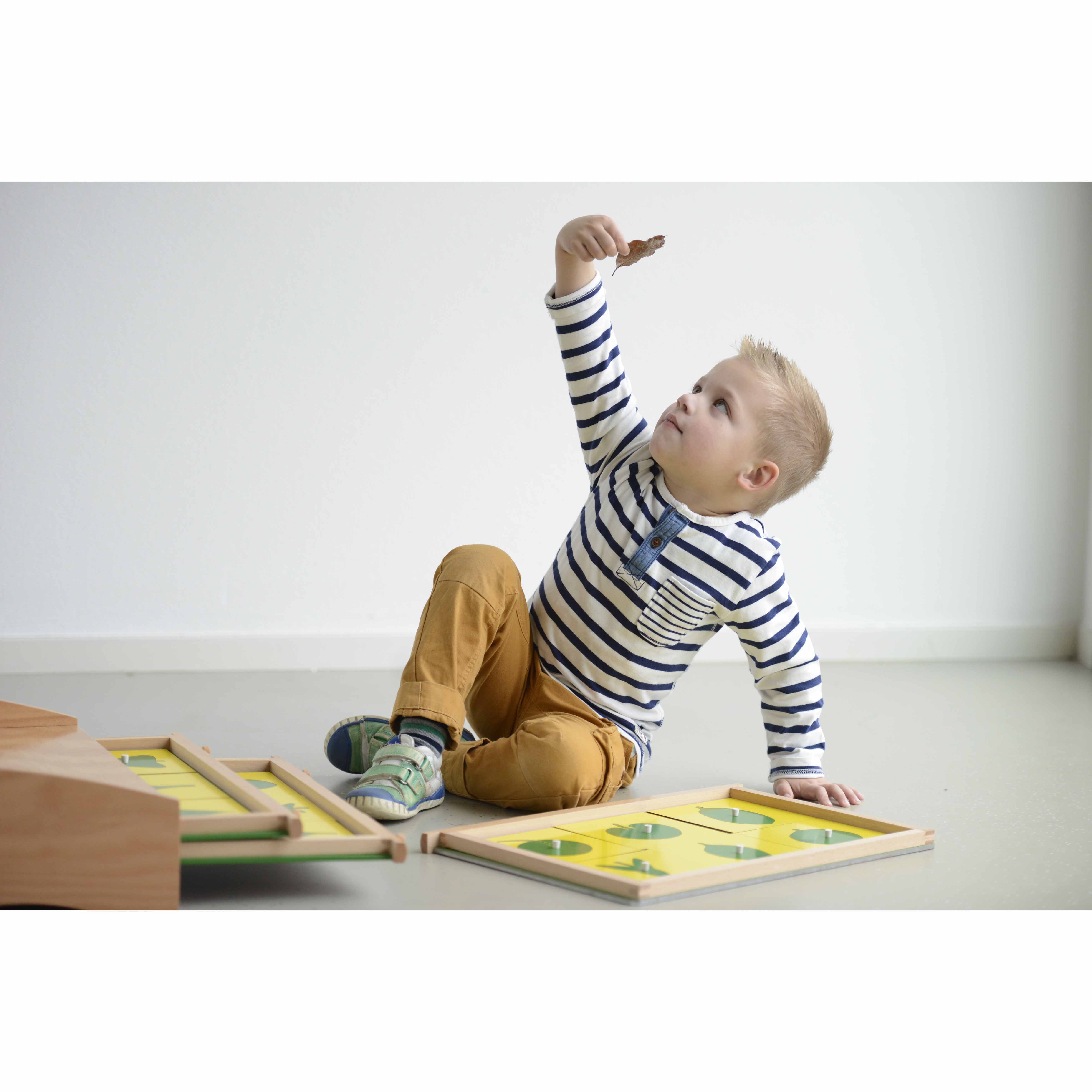 Botanische Kommode - Montessori Biologie