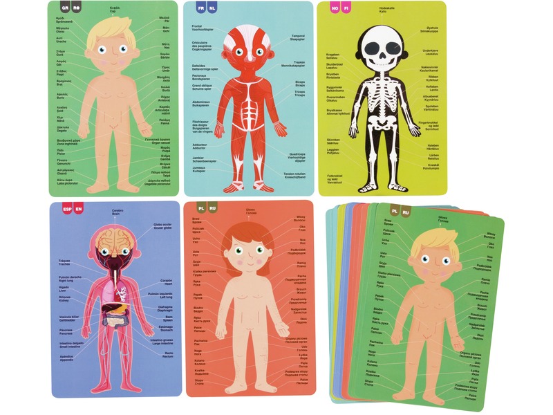 Puzzles Der menschliche Körper mit Lernkarten, 5 Stück, ab 5 Jahren