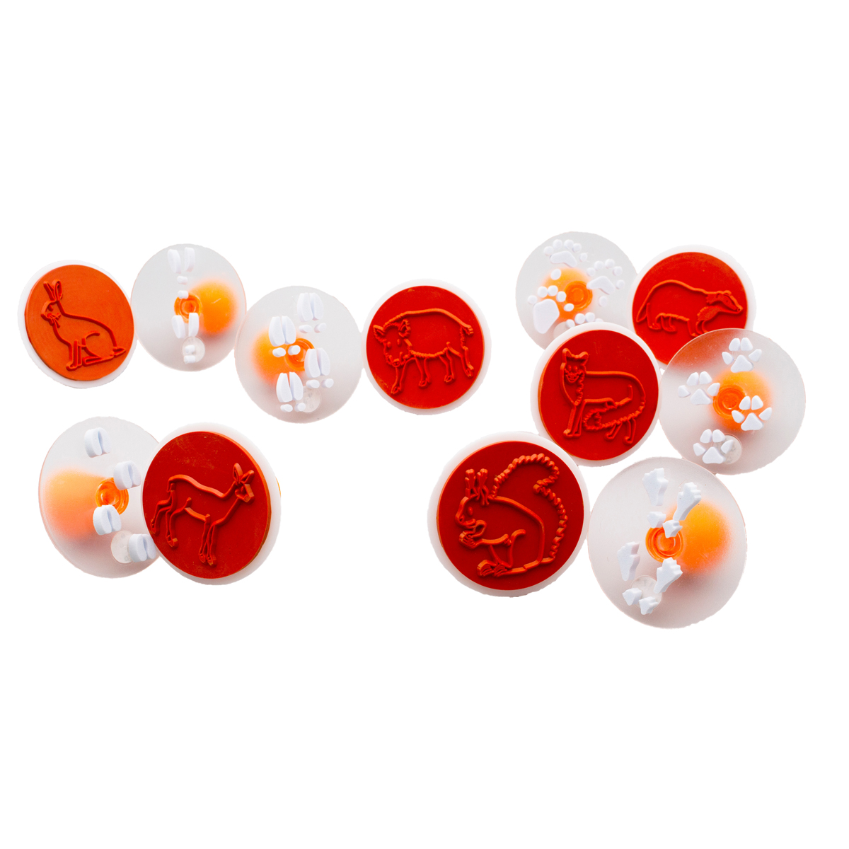 Tierspurenstempel 12er Set, Kontur und Flächendruck, Ø 7,5 cm