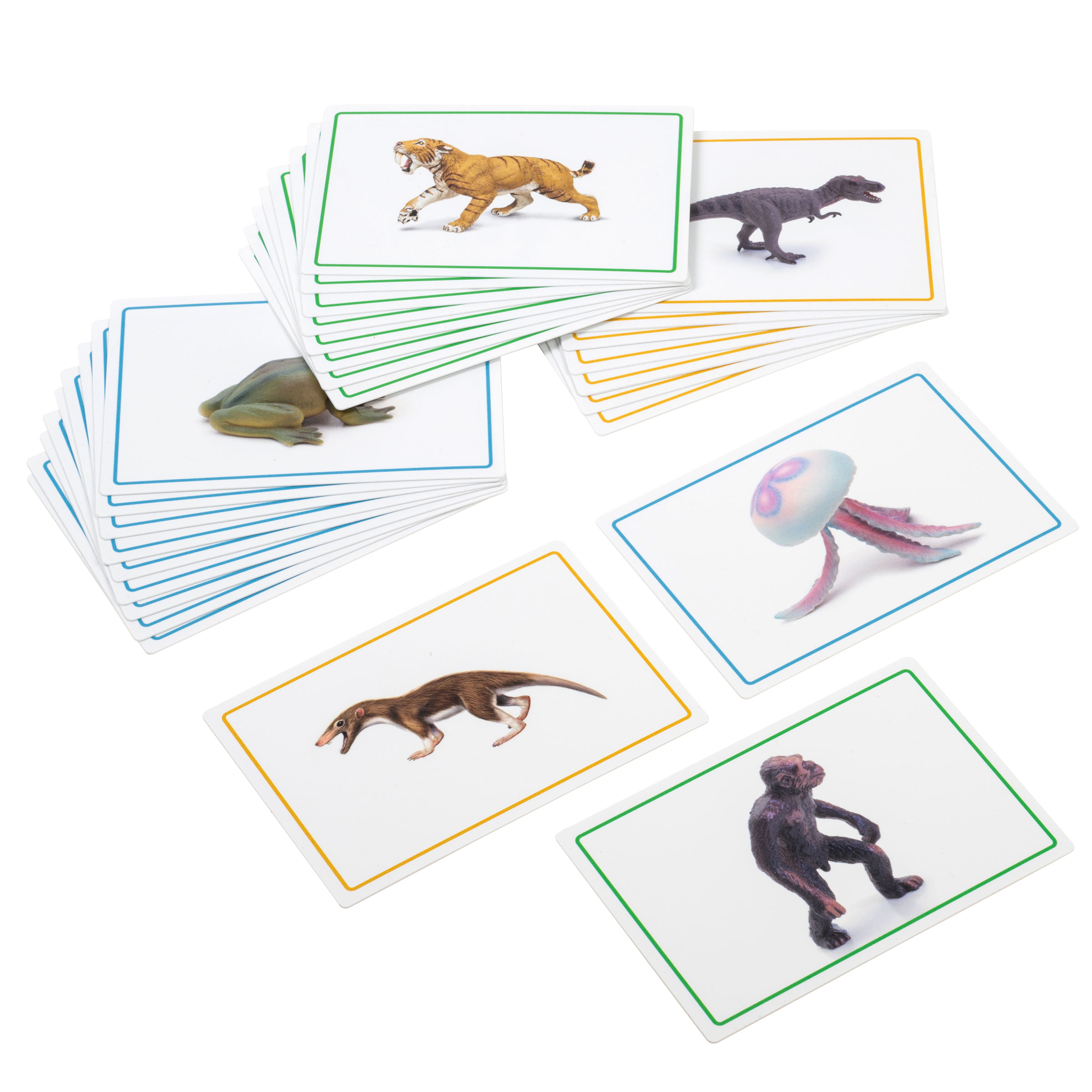 Lesebuch und Tiere zum Schwarzen Band - Montessori Geschichte