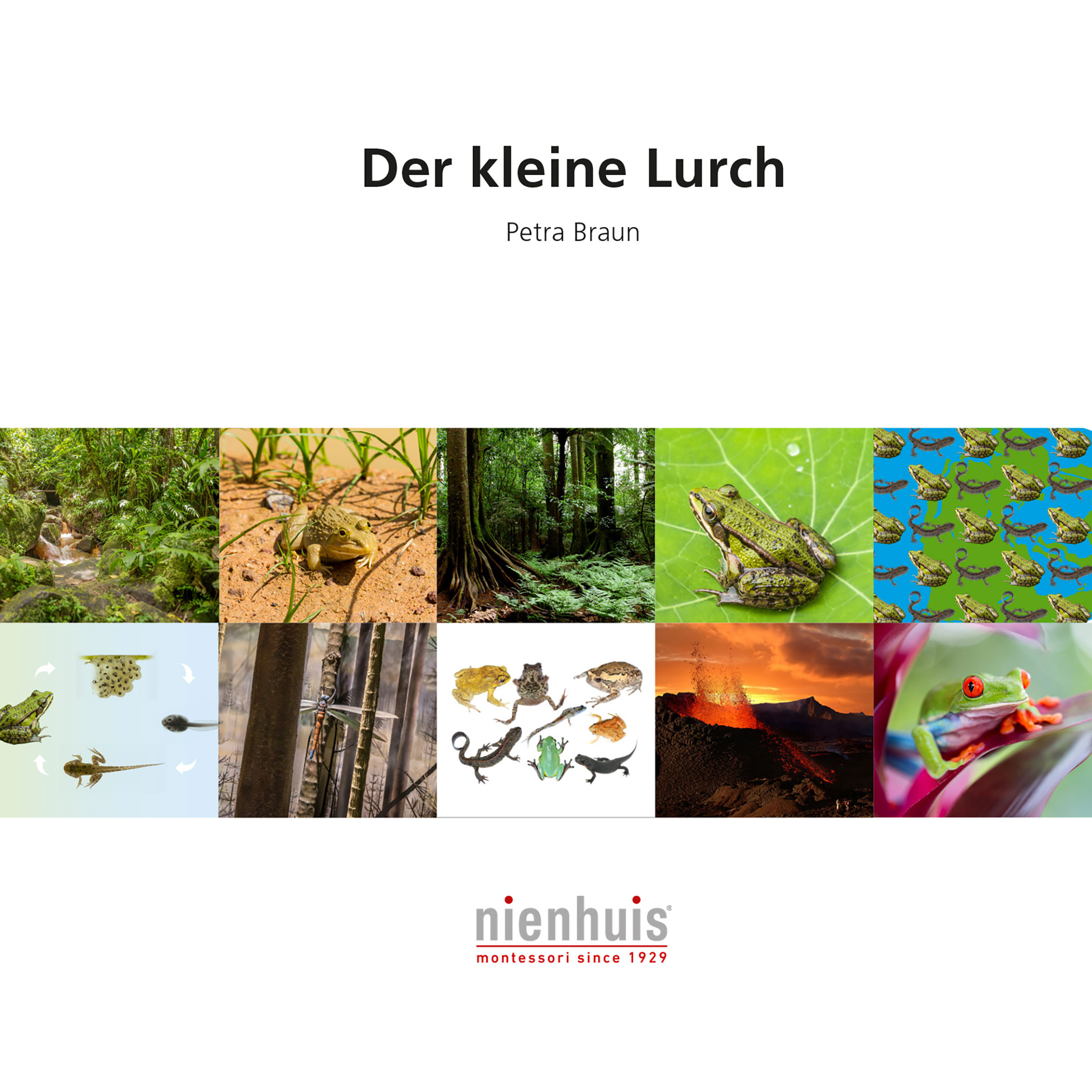 Der kleine Lurch - Montessori Biologie