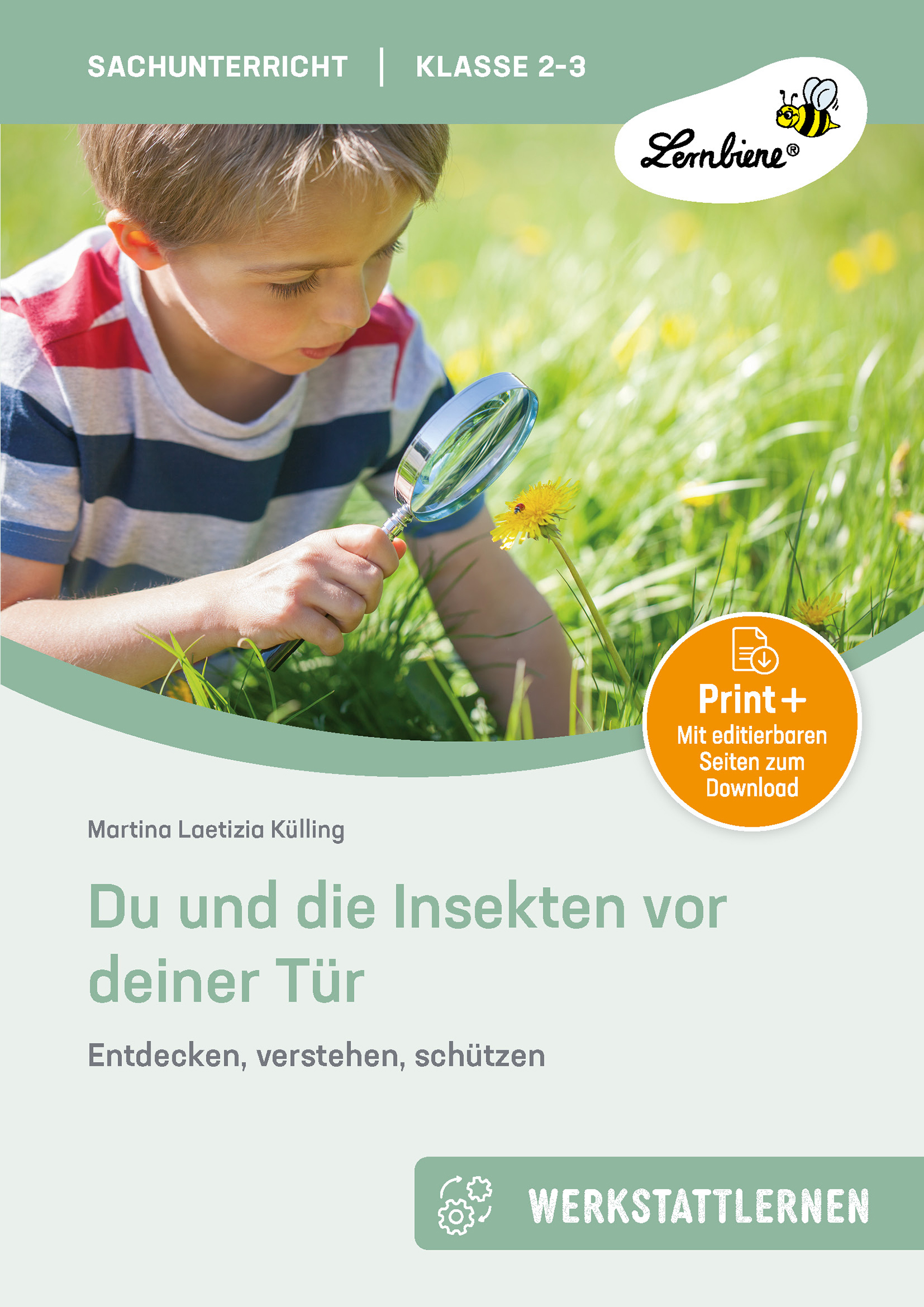 Du und die Insekten vor deiner Tür, Kopiervorlagen, 2.-3. Klasse