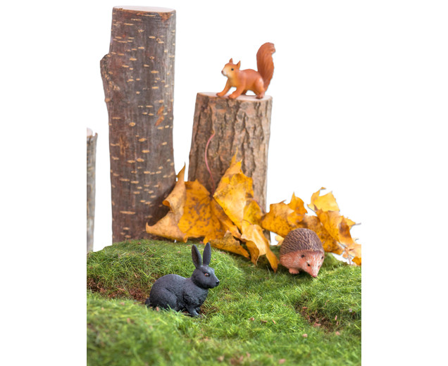 Tiere - Waldtiere, 10 Teile