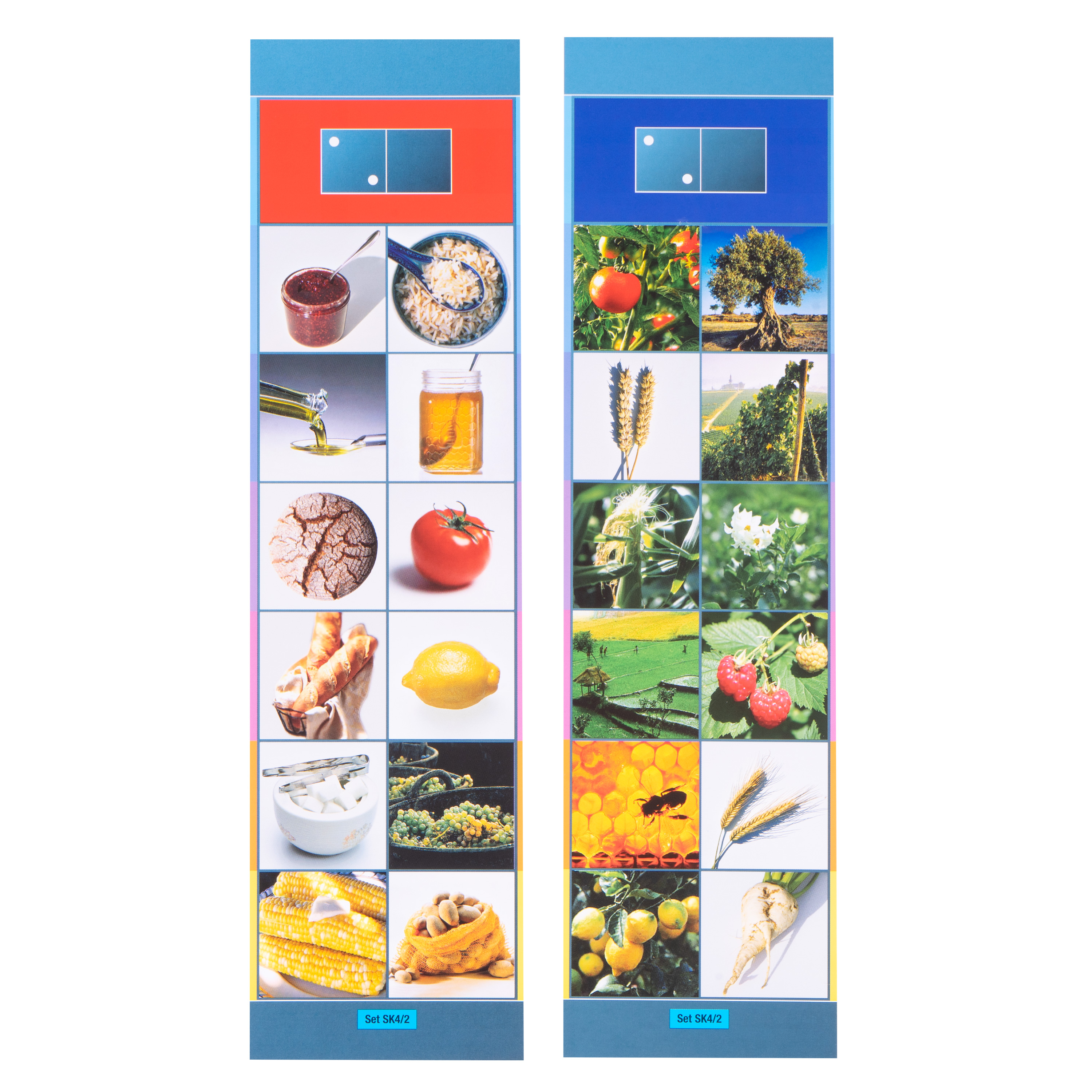 Lernkarten, Flocards Vorschule SK4, Naturkunde, 24-teilig