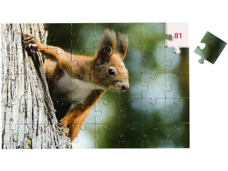 Mathematik-Puzzles Addition und Subtraktion bis 100, 3 Stück, ab 7 Jahren