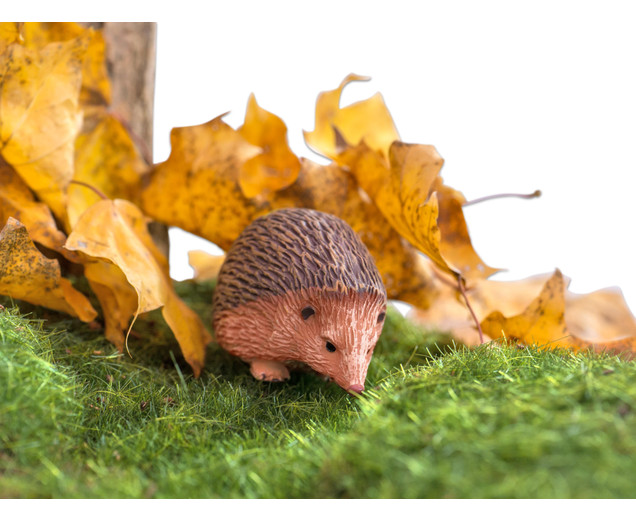 Tiere - Waldtiere, 10 Teile
