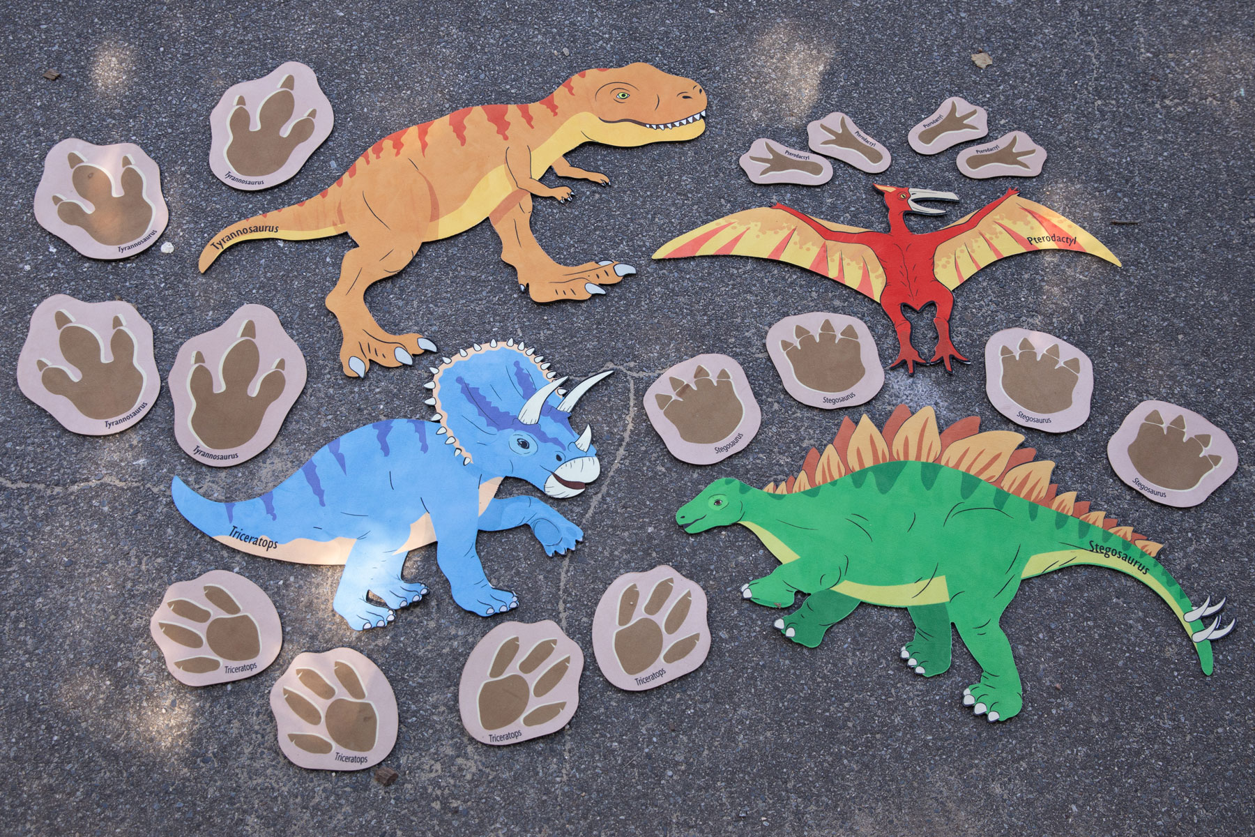 Teppichfliesen, Dinosaurier und Fußspuren, 20-teilig