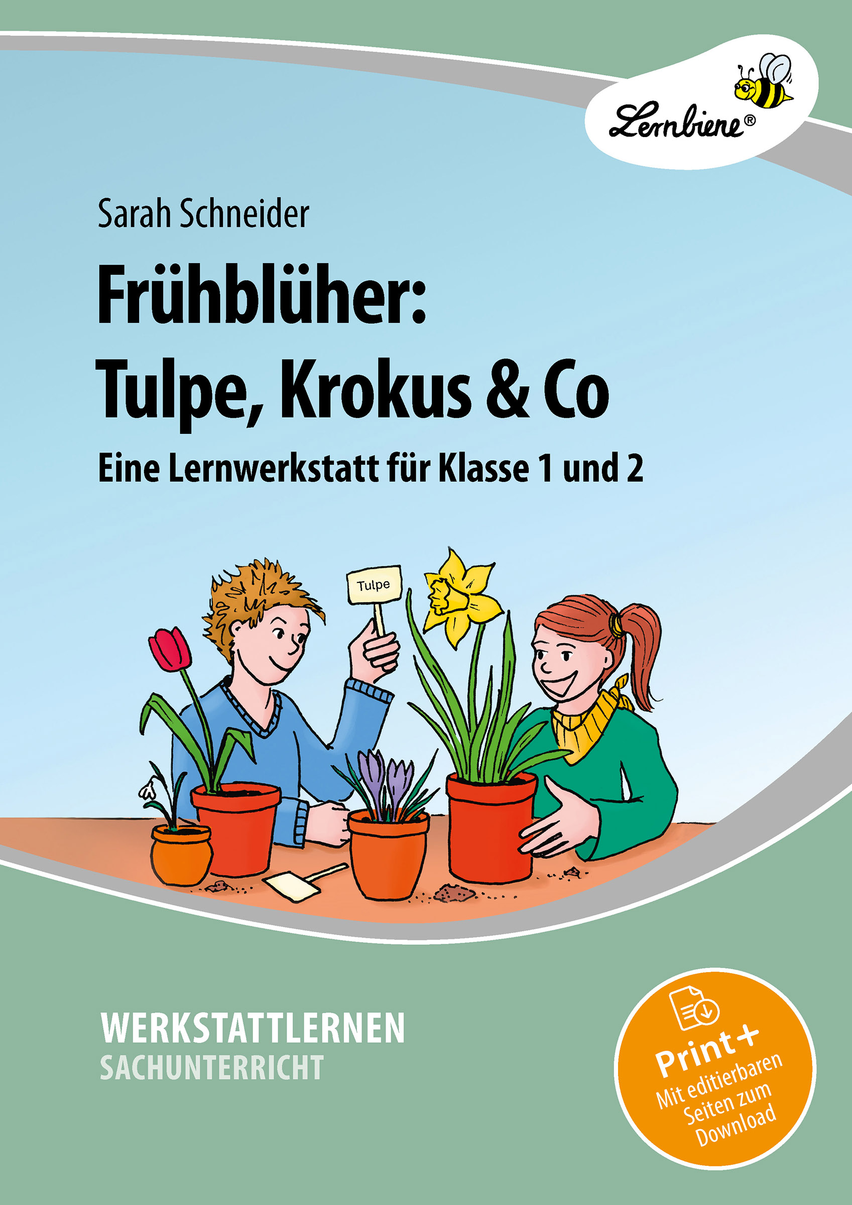 Frühblüher: Tulpe, Krokus & Co, Kopiervorlagen, 1.-2. Klasse