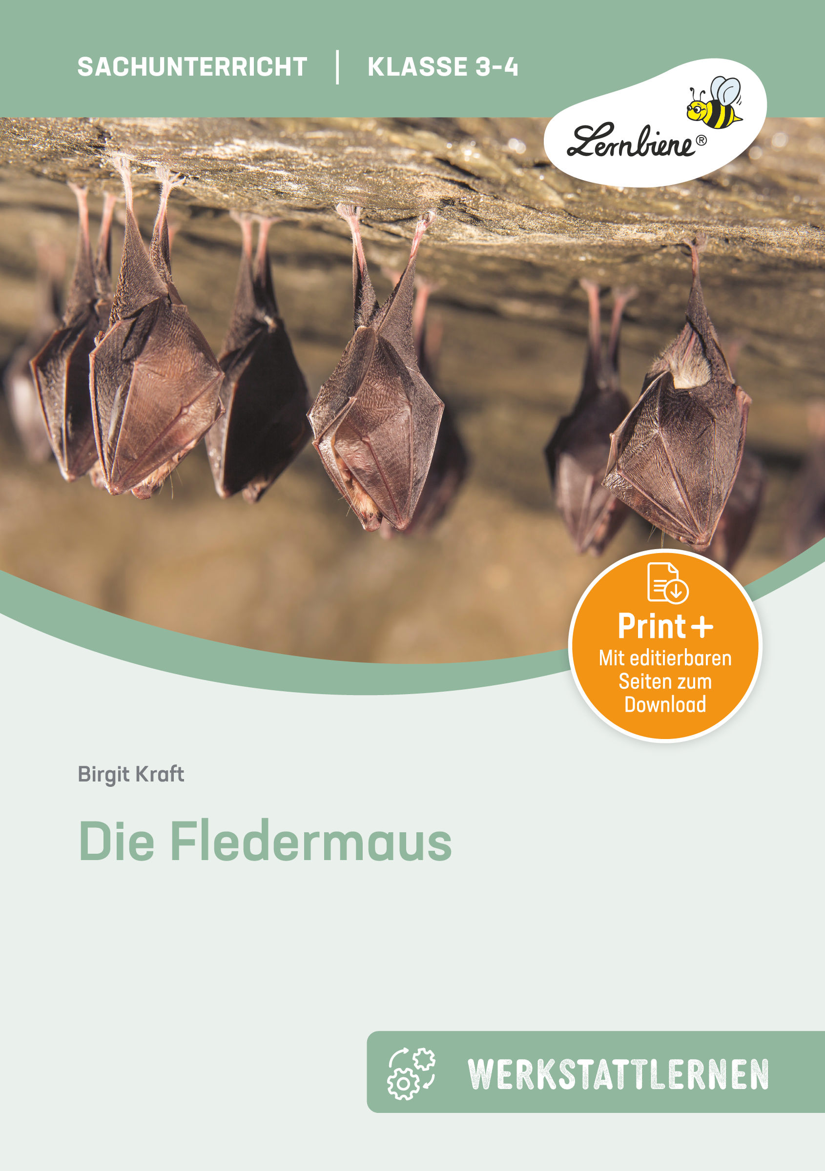 Die Fledermaus, Kopiervorlagen, 3.-4. Klasse