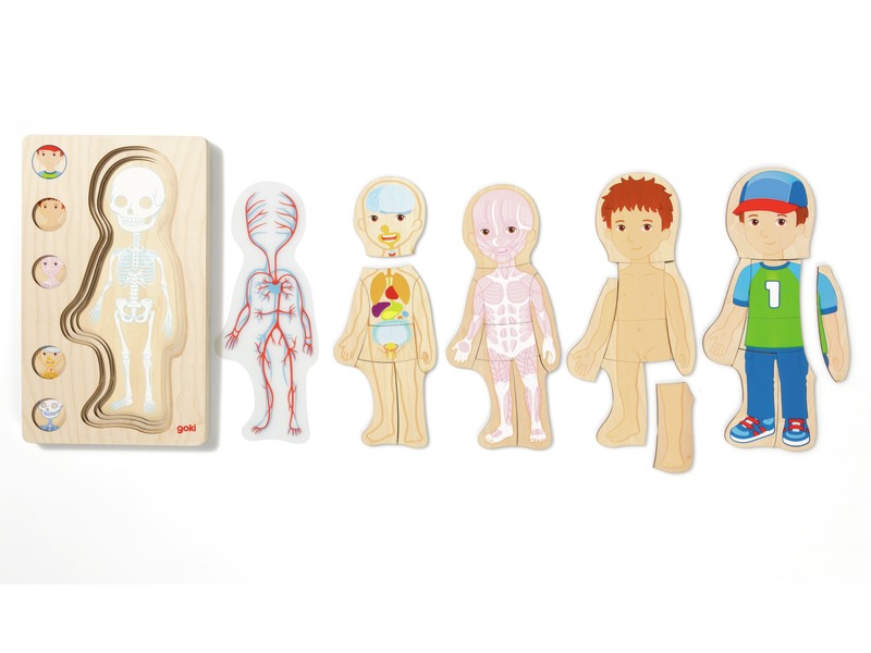 Schichtenpuzzle Der menschliche Körper, Junge, aus Holz, 5 Ebenen, ab 4 Jahren