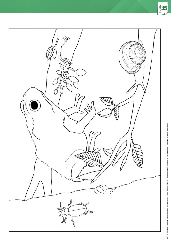 Arbeitsmaterial Die Hecke, 6-10 Jahre