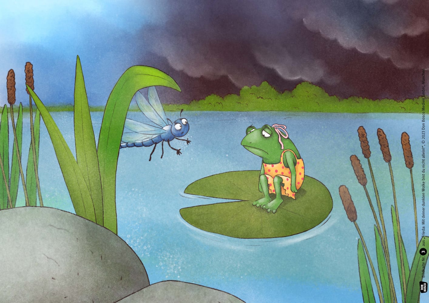 Frieda: Mit deiner dunklen Wolke bist du nicht allein! Kamishibai Bildkartenset, 5-10 Jahre