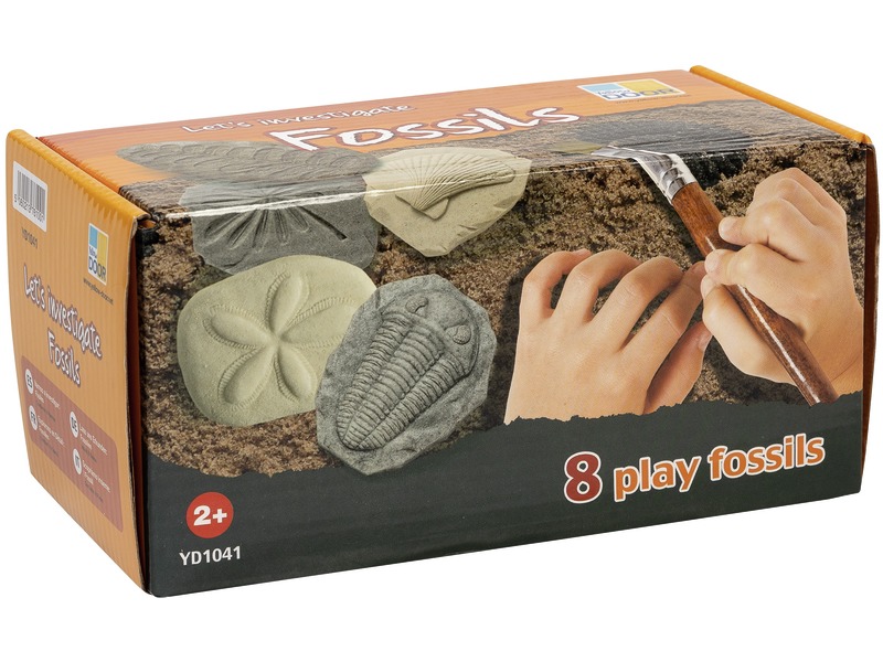 Taststeine Fossilien zum Ertasten, 8 Stück, ab 2 Jahren