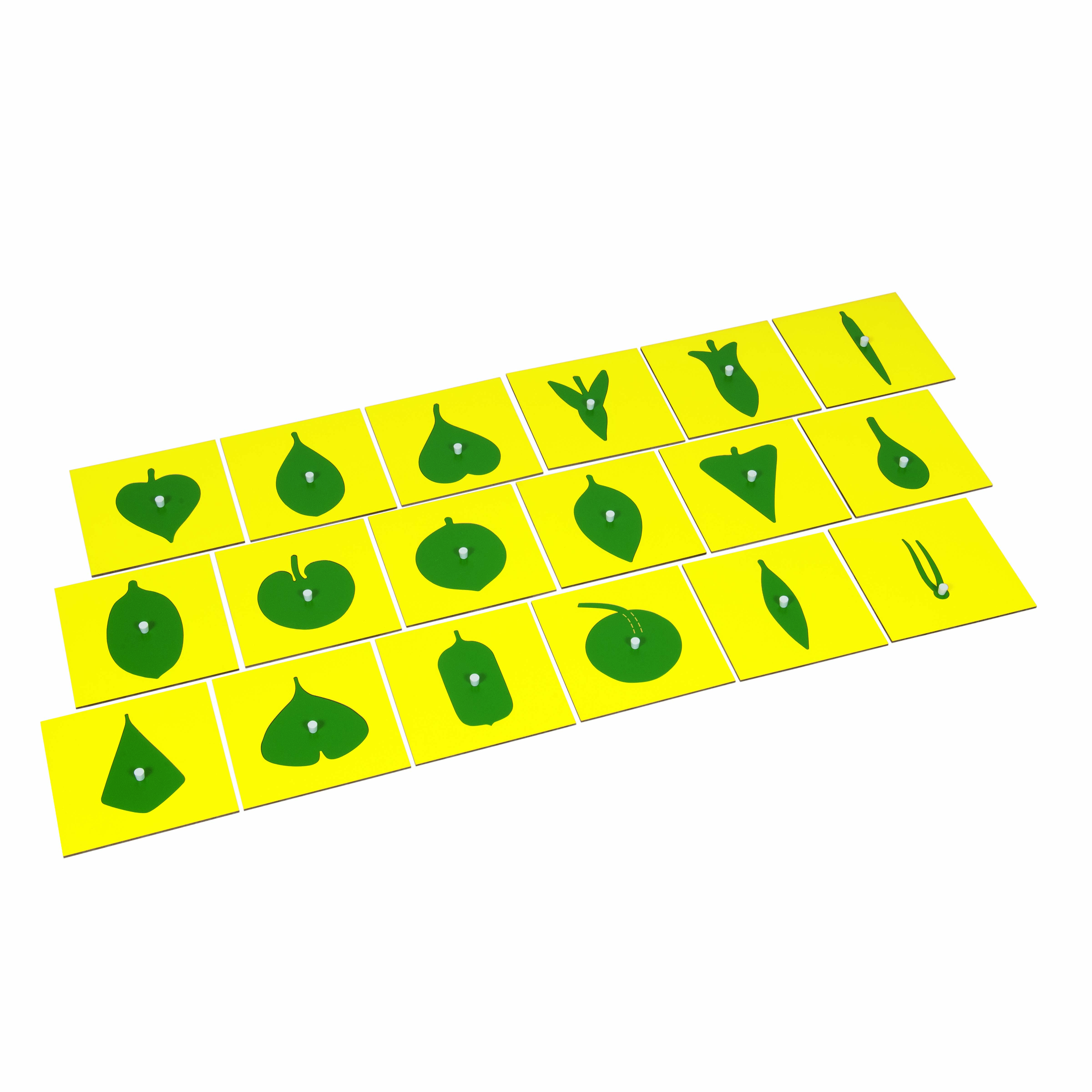 Botanische Kommode: Inhalt - Montessori Sinnesmaterial