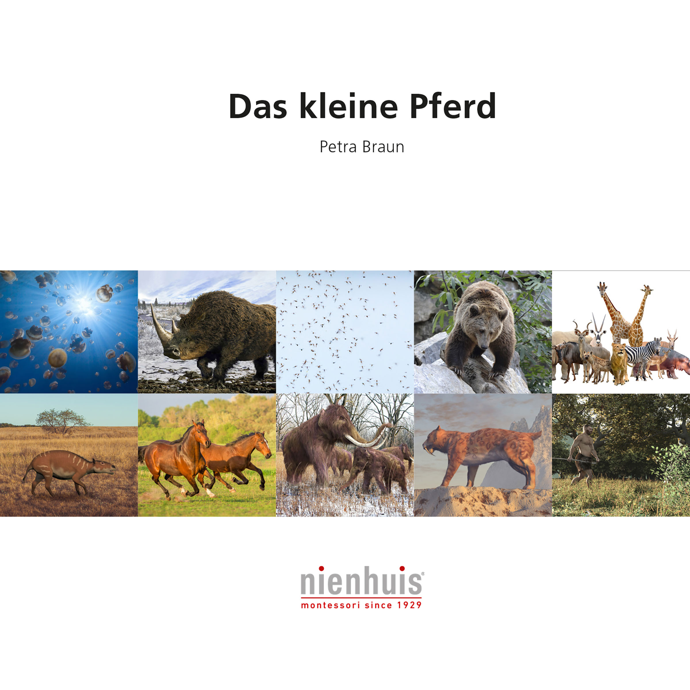 Das kleine Pferd - Montessori Biologie