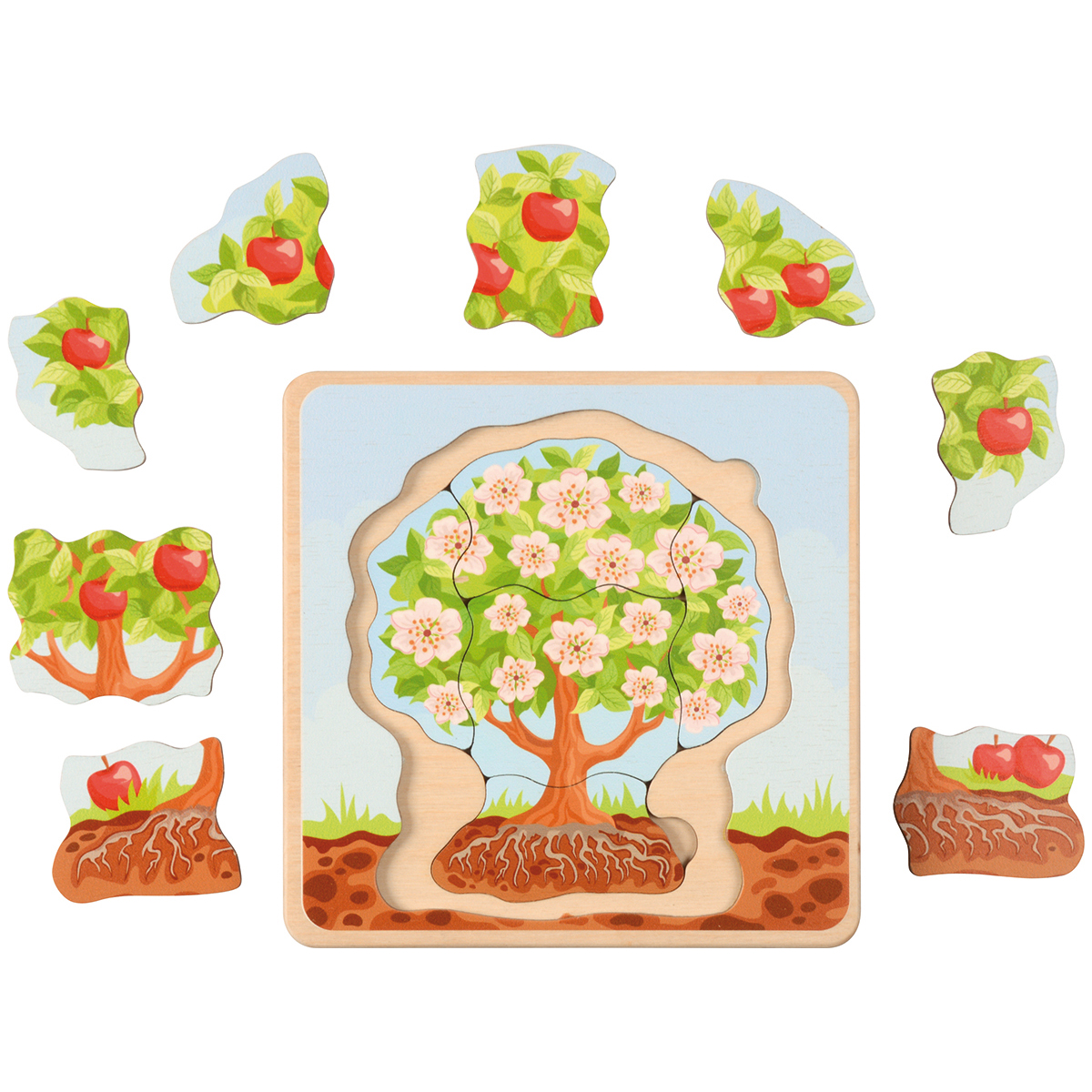 Lebenszyklen Puzzle Apfelbaum, 5 Schichten, 17 x 17 cm, ab 3 Jahre