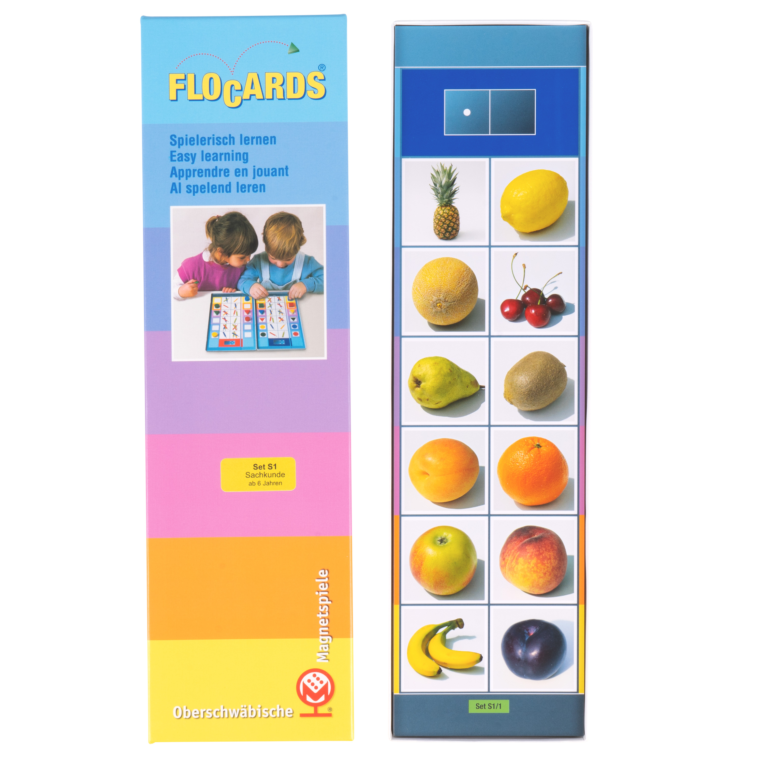 Lernkarten, Flocards Grundschule, Sachkunde S1, Pflanzen, 24-teilig