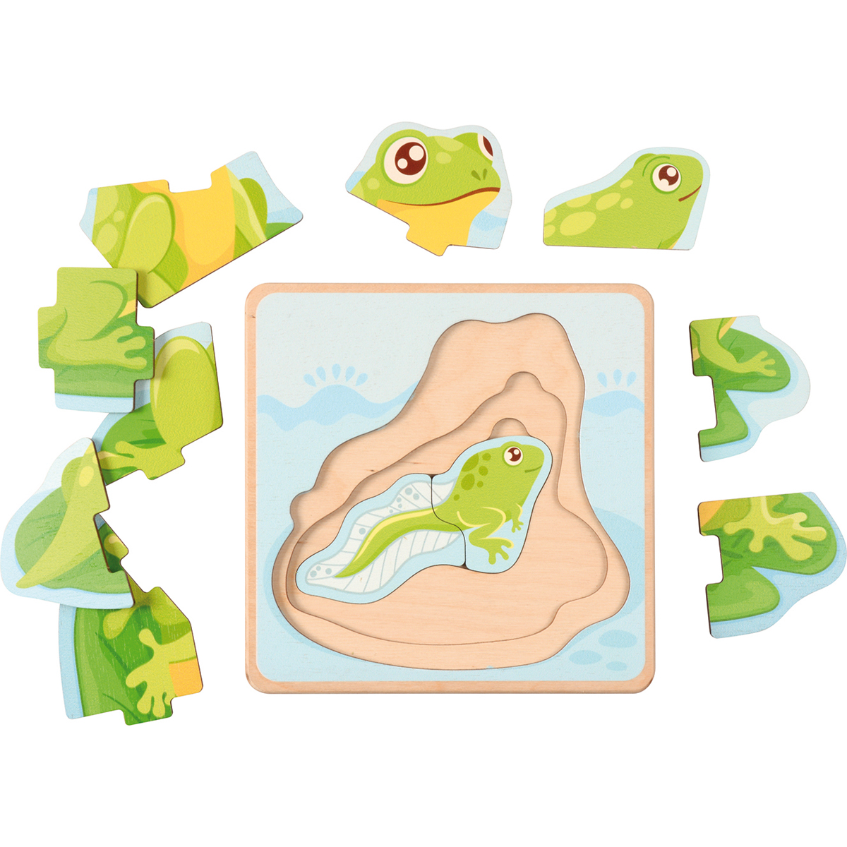 Lebenszyklen Puzzle Frosch, 5 Schichten, 17 x 17 cm, ab 3 Jahre
