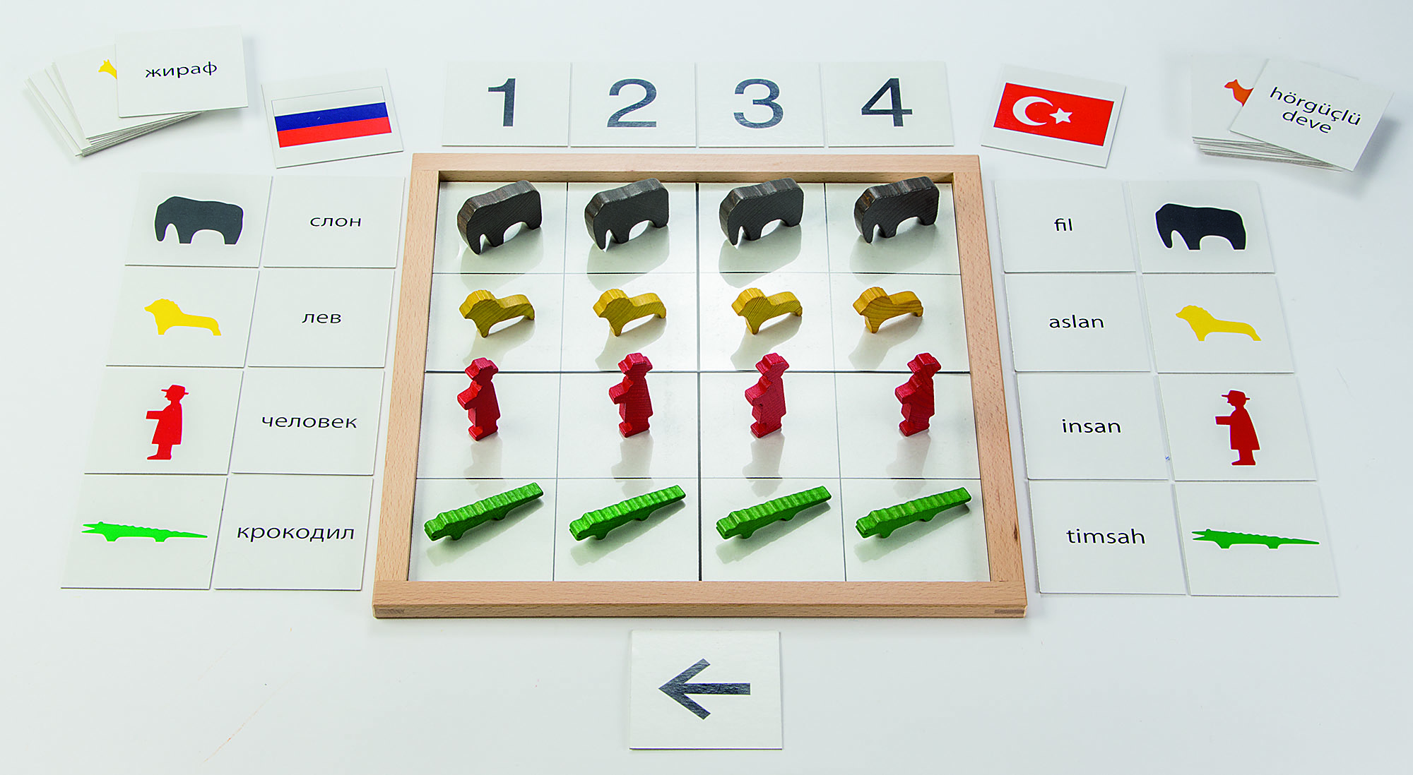 Sortierkarten-Set für das SorTier Legespiel