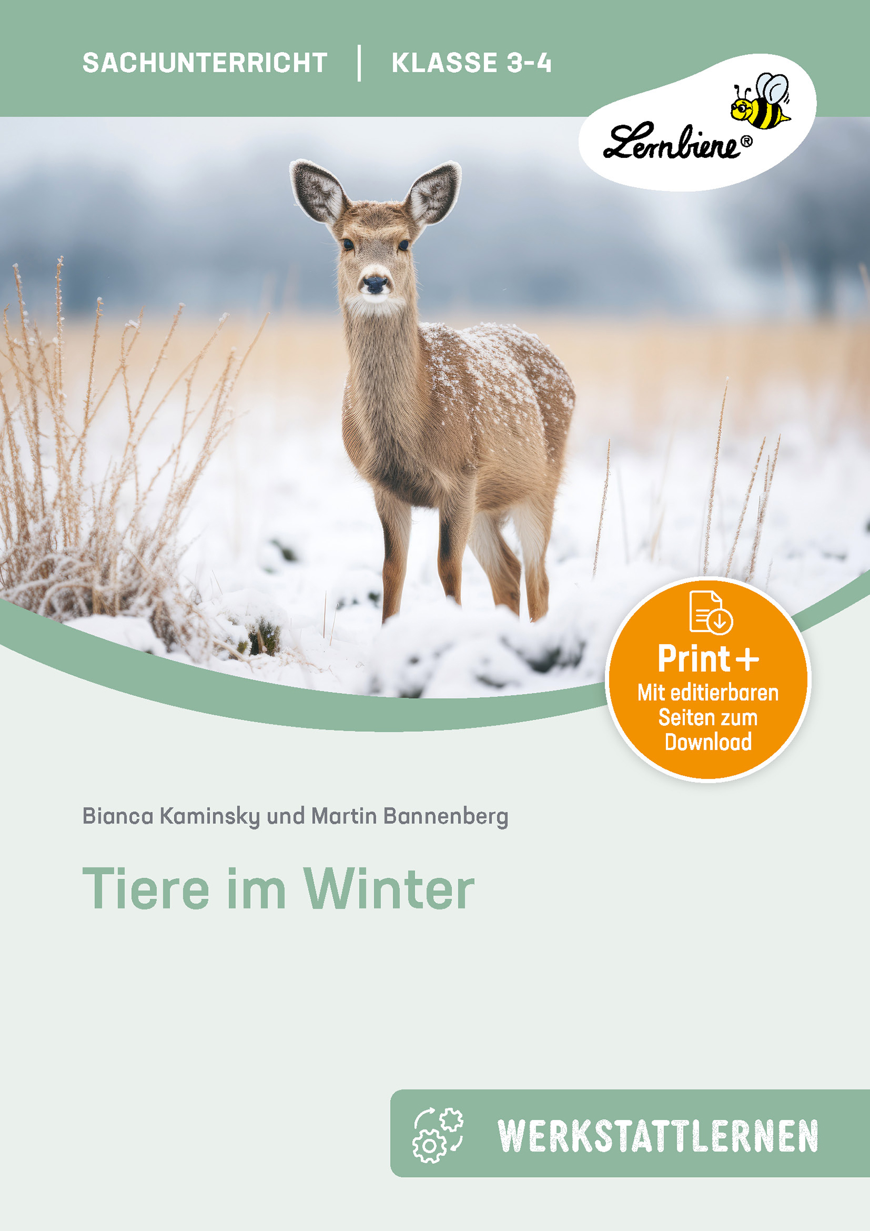 Tiere im Winter, Buch, 3.-4. Klasse