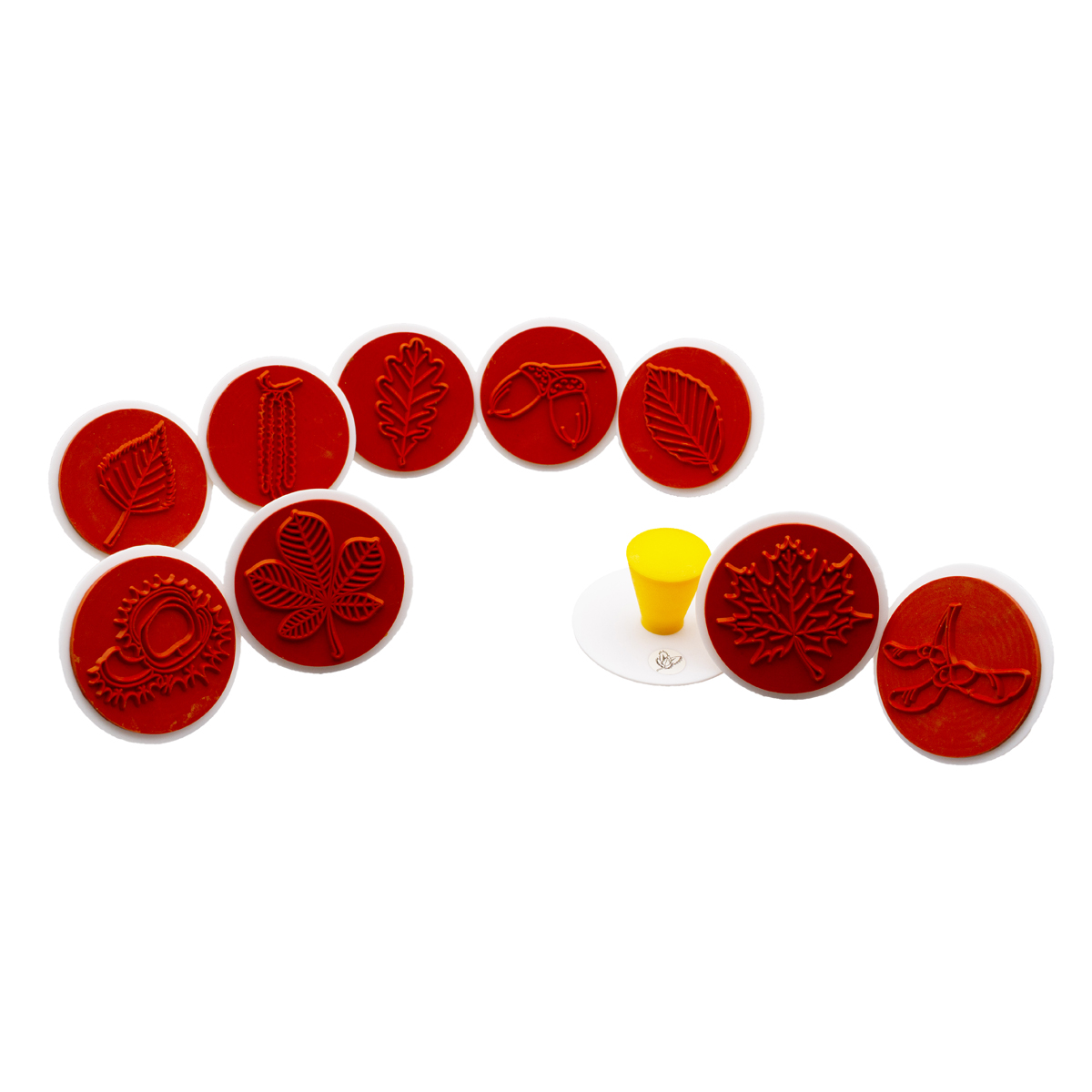 Blätterstempel 10er Set, Blätter und Früchte, inkl. Anleitung, Ø 7,5 cm
