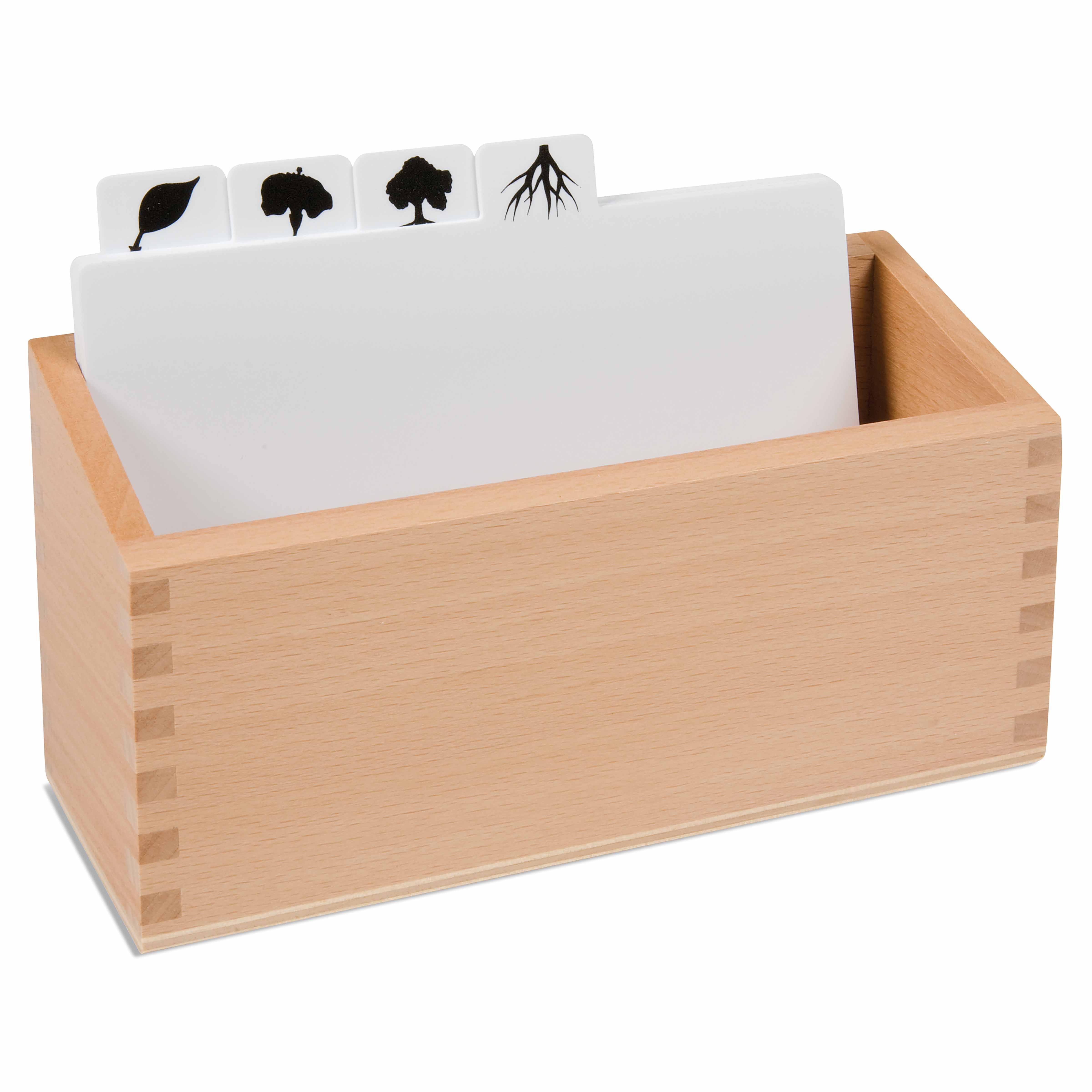 Kasten für Kopiervorlagen für die Botanischen Puzzles - Montessori Biologie
