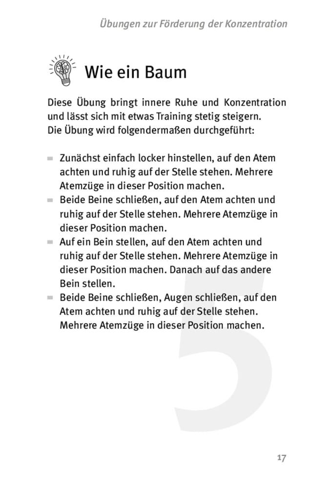 Die 50 besten Mnemo- und Merktechniken, Buch, ab 12 Jahre