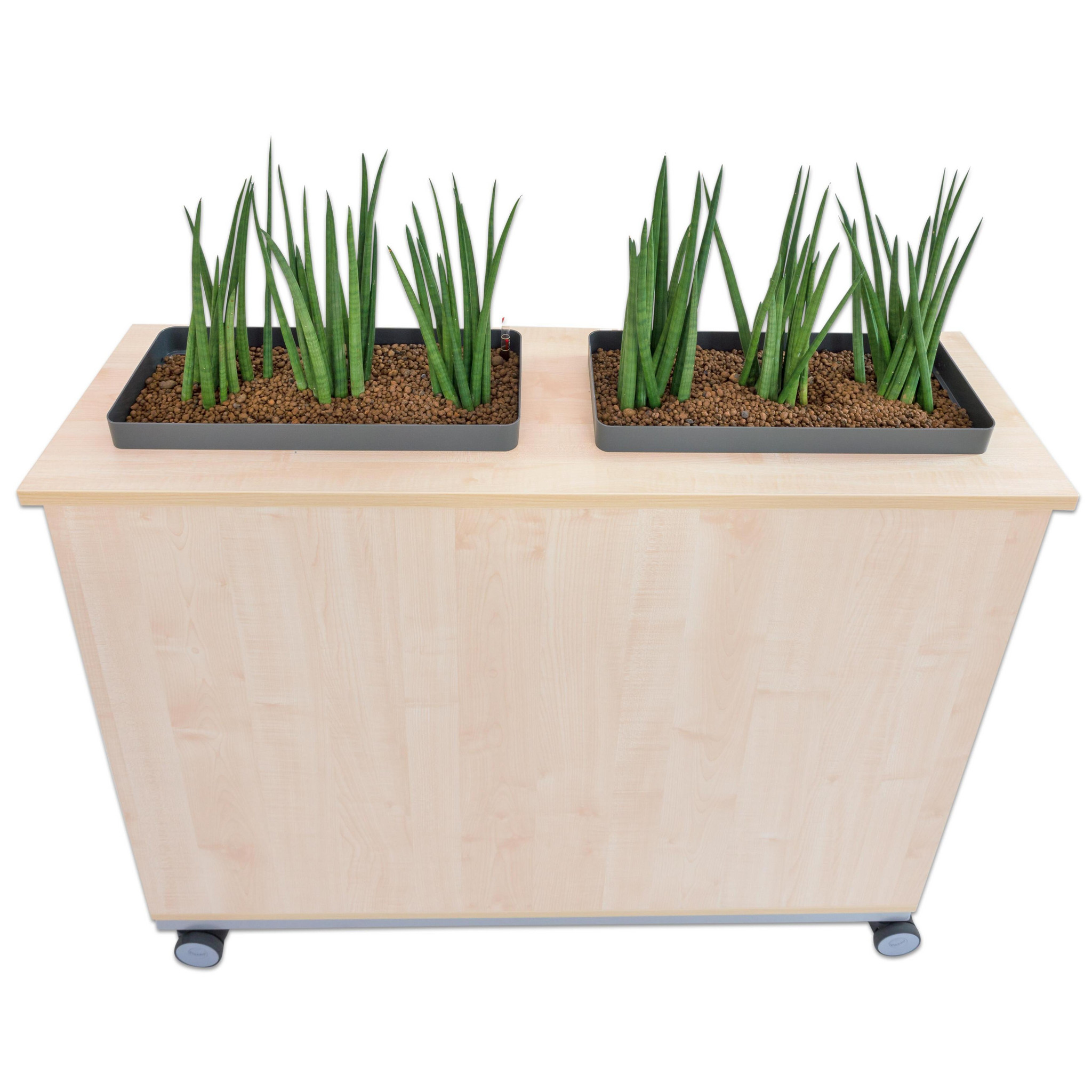 Flexeo® Raumteiler Blumenwagen, Ahorn honig, HxBxT: 106,5 x 120 x 33 cm