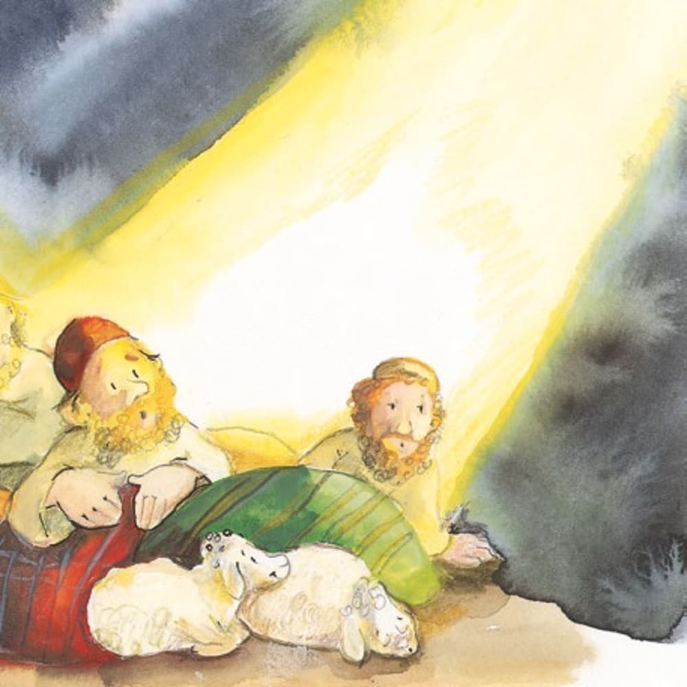Jesus wird geboren. Die Geschichte von Weihnachten, Paket mit 50 Exemplaren zum Vorteilspreis, 3-8 Jahre
