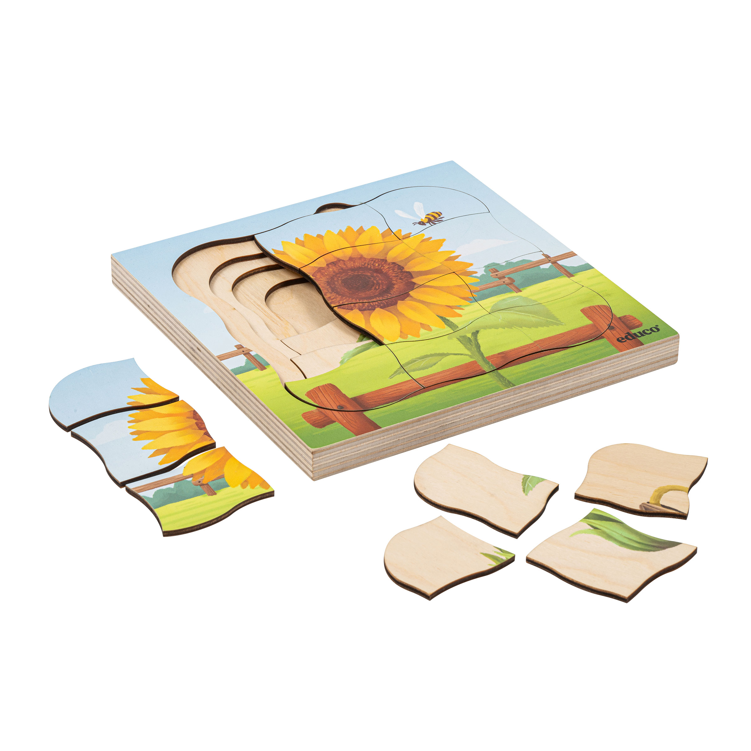 Schichtenpuzzle Sonnenblume wächst – vom Samen zur Blüte