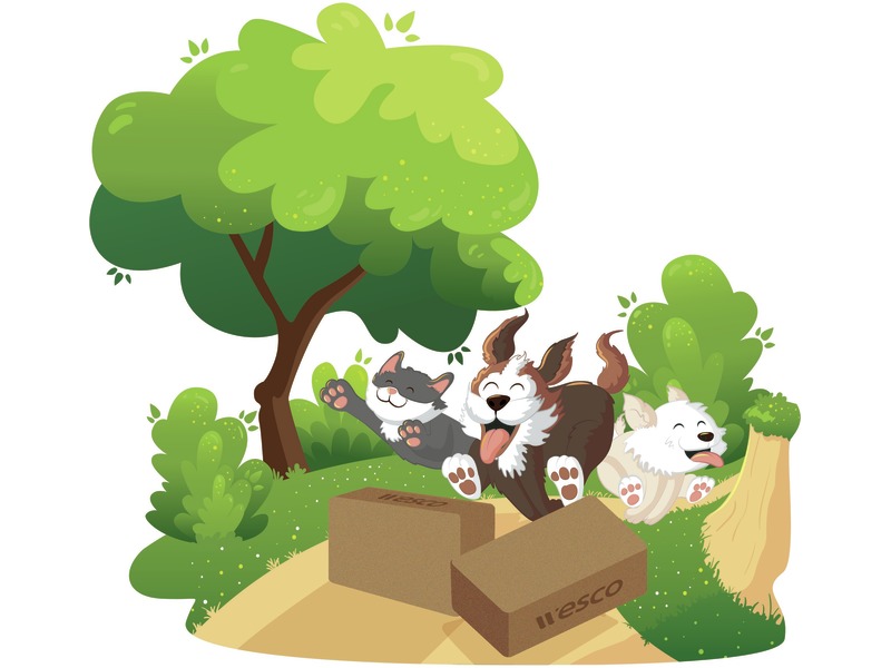 Teamplay-Gruppenspiel Waldpfad mit Korkbauklötzen und Tierfiguren, ab 5 Jahren