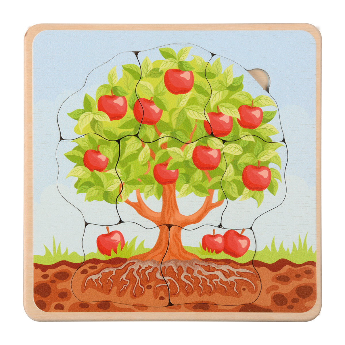 Lebenszyklen Puzzle Apfelbaum, 5 Schichten, 17 x 17 cm, ab 3 Jahre