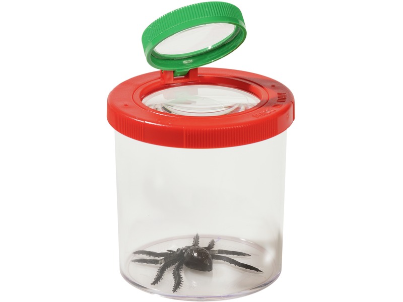 Lupendose zum Beobachten von Insekten und Naturfundstücken, ab 4 Jahren