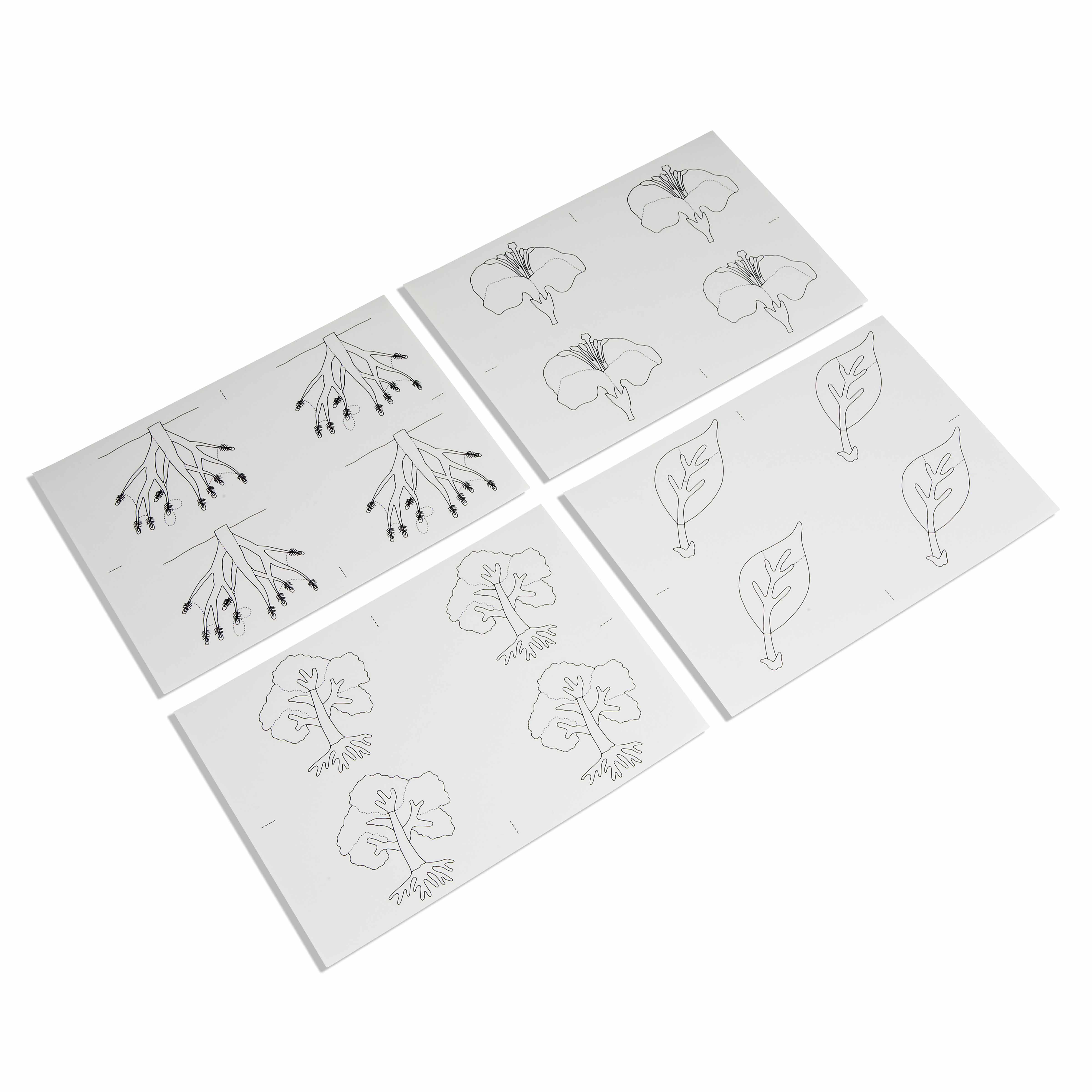 Kopiervorlagen für die Botanischen Puzzles - Montessori Biologie
