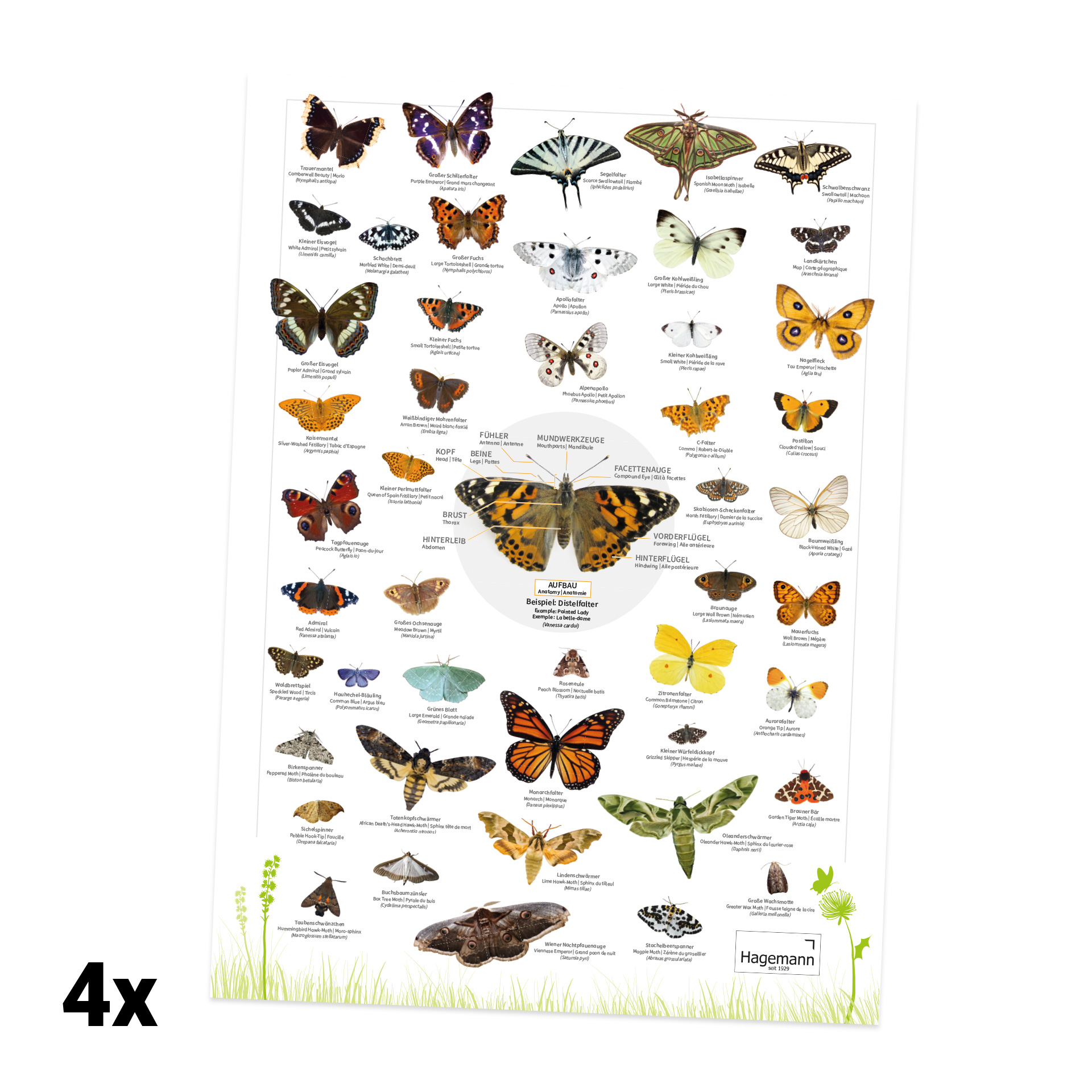 Forscherkoffer Schmetterlings-Zucht, 46-tlg.