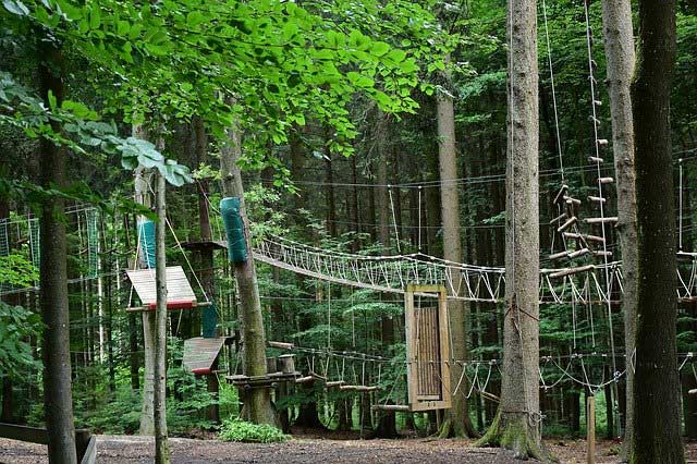 Kletterwald und Hochseilgarten