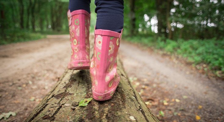 Jeden Tag auf Kinderbeinen durch den Wald