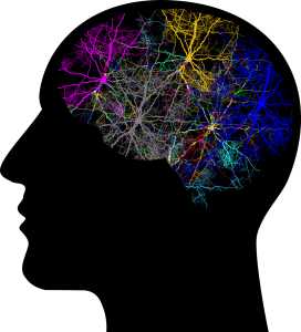 Neurologische Störungen im Gehirn liegen bei einer ADHS vor