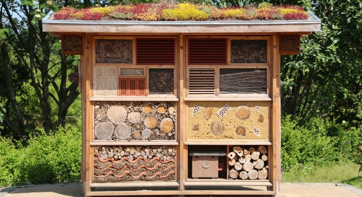 Ein selbstgebautes Insektenhotel