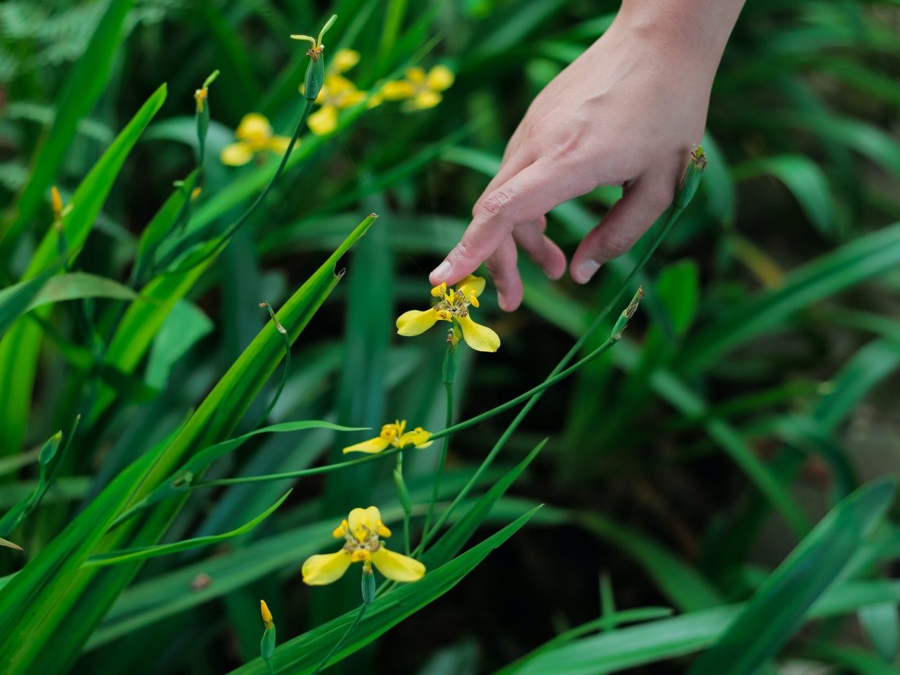 Natur in Kita und Schule Spielundlern