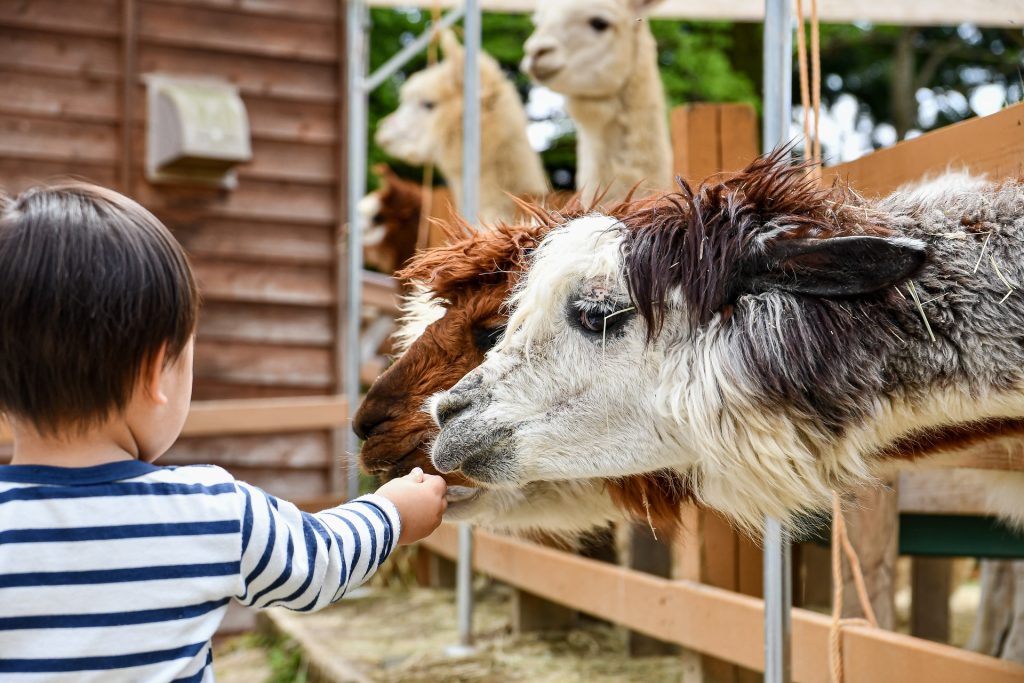 Ausflüge Krippenkinder - SpielundLern-Blog